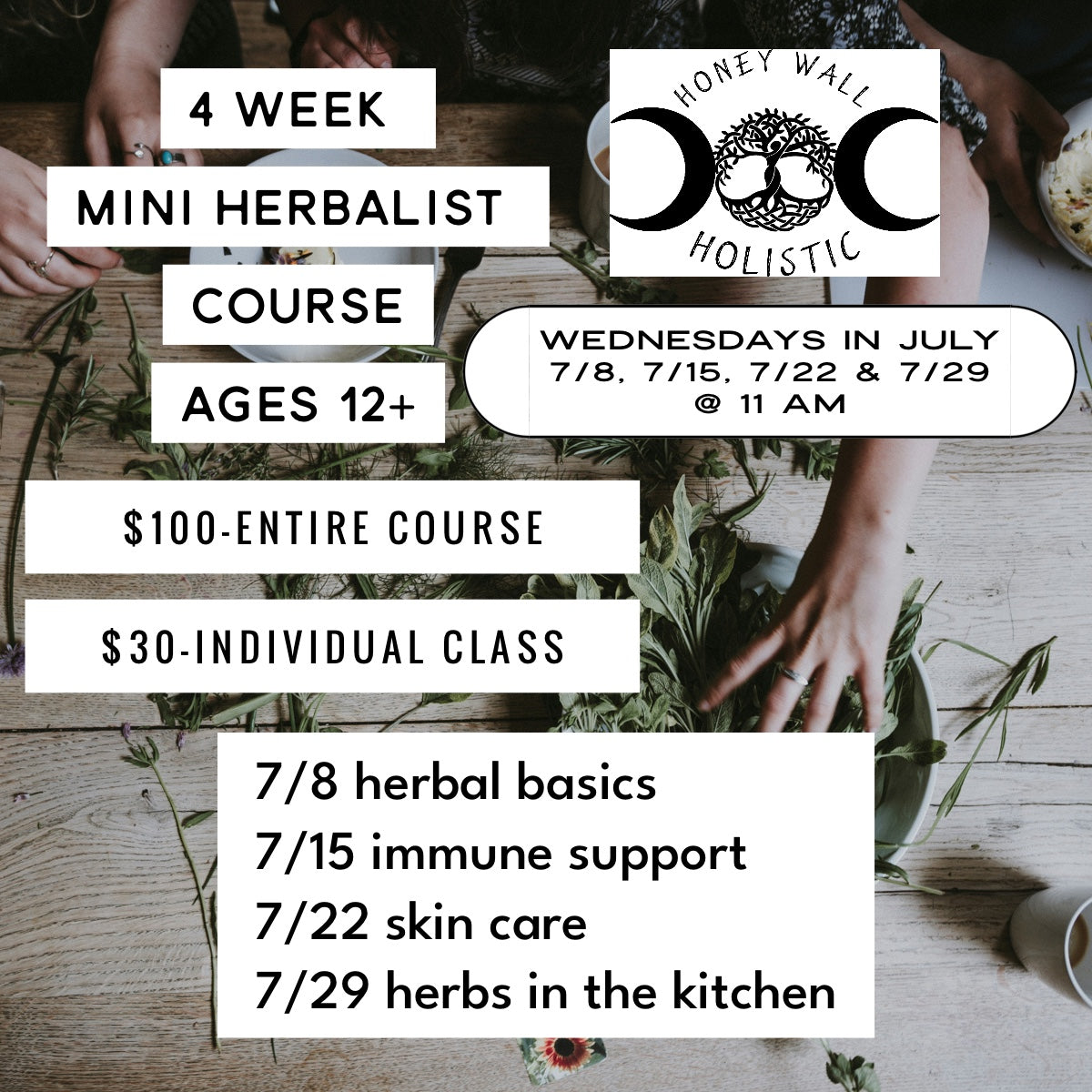 4 Week Mini Herbalism Course