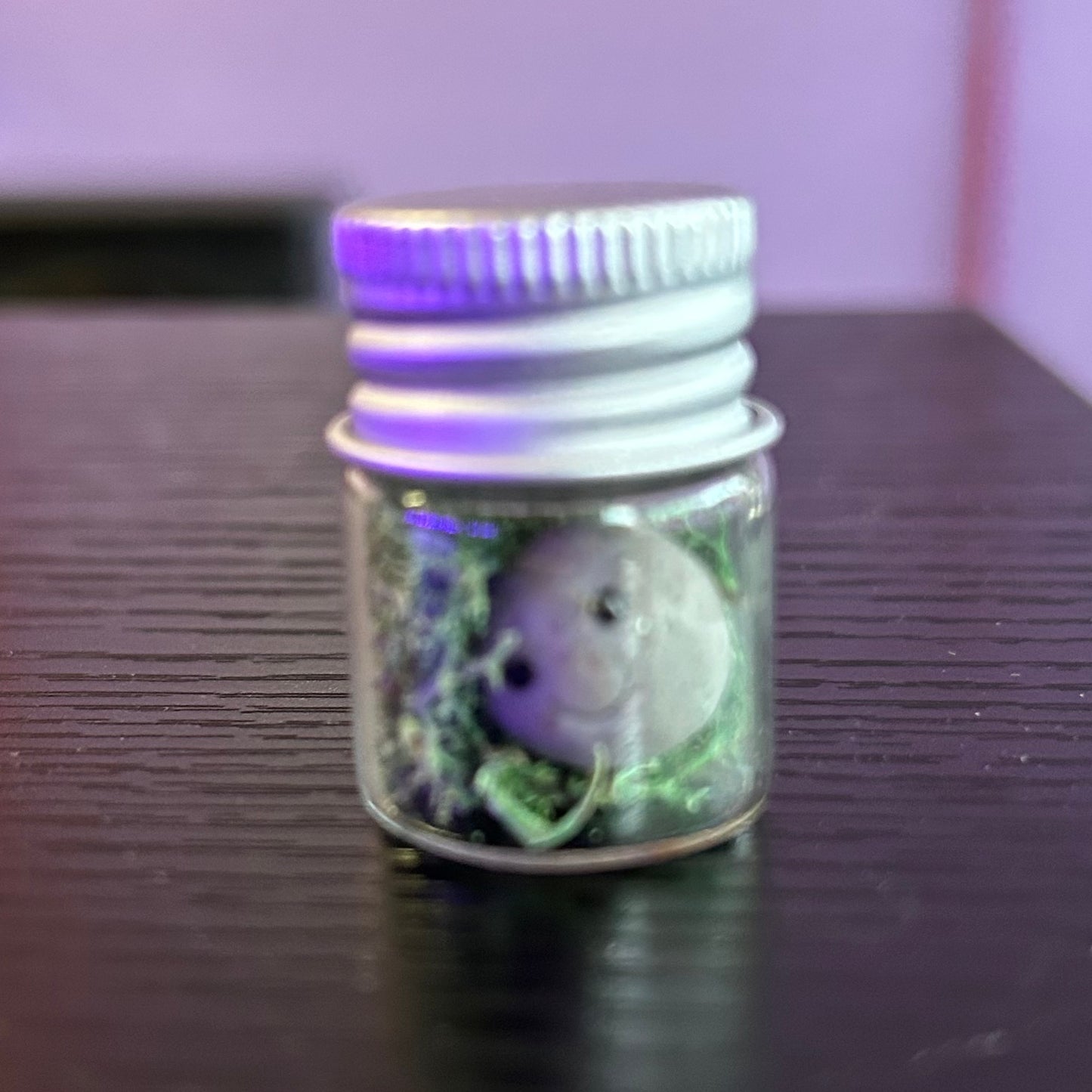 Jar Pals