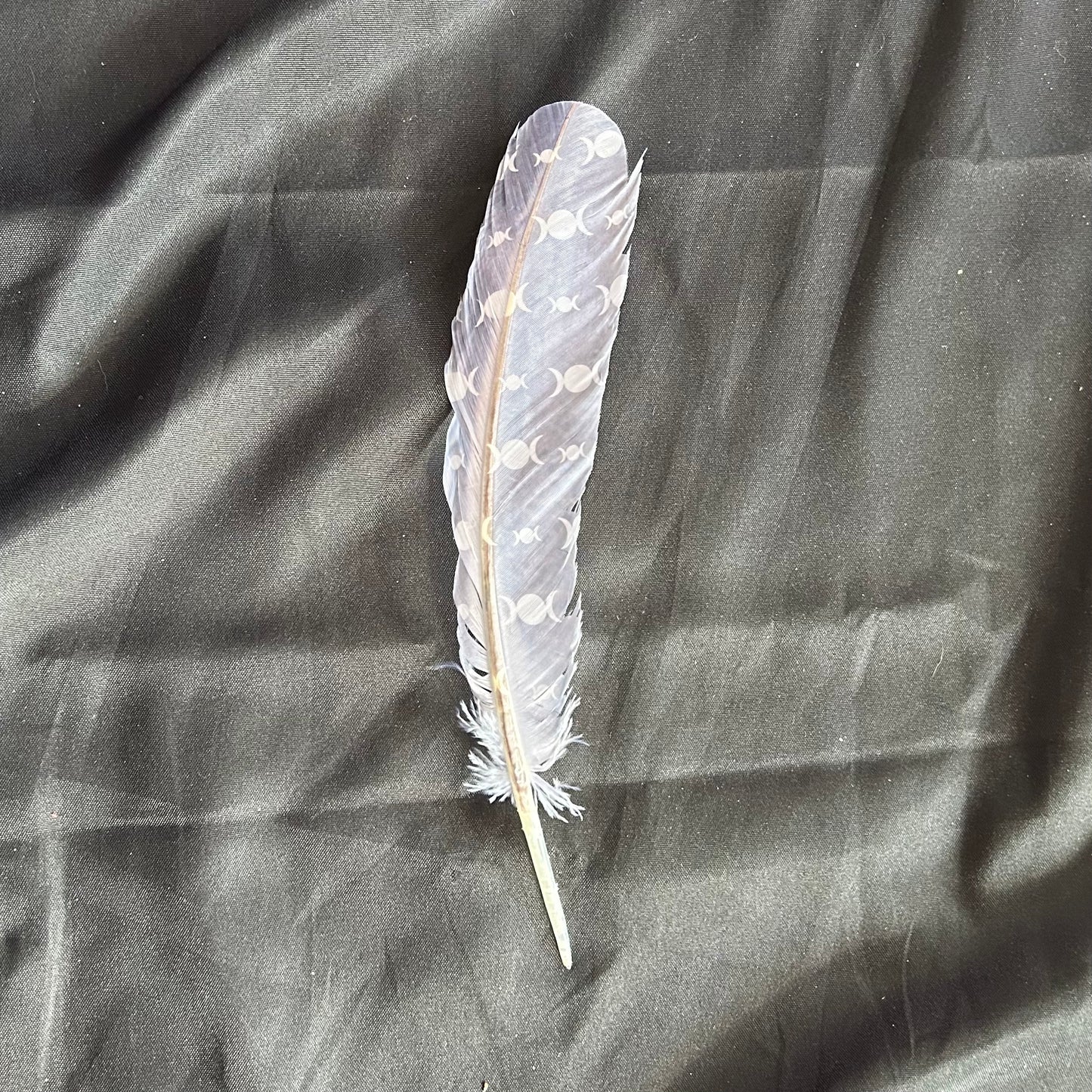 Smudging Feather