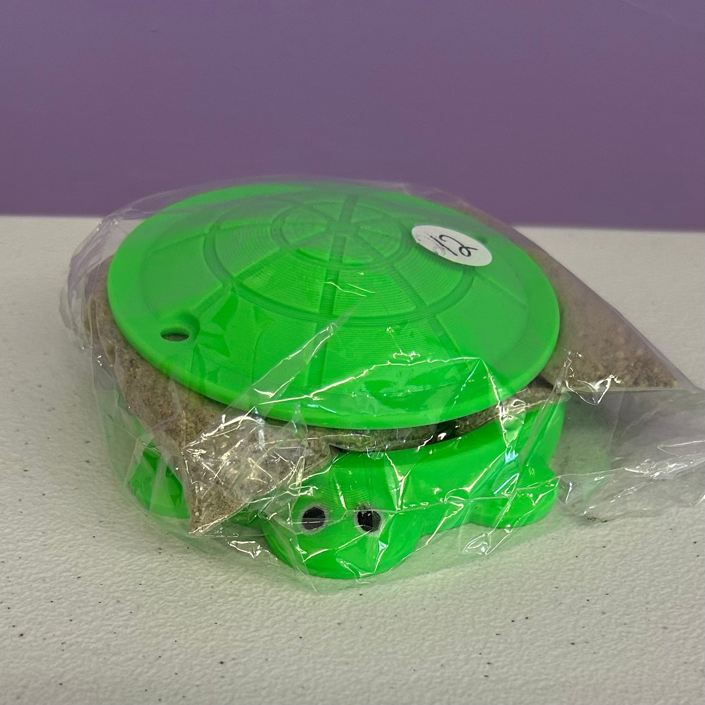 Tiny Turtle Sandbox