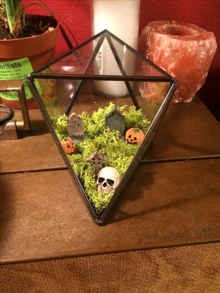 Terrorarium Workshop 10/24/25