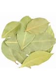 Bay Leaf