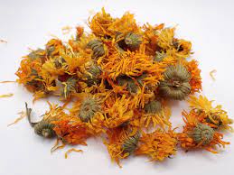 Calendula