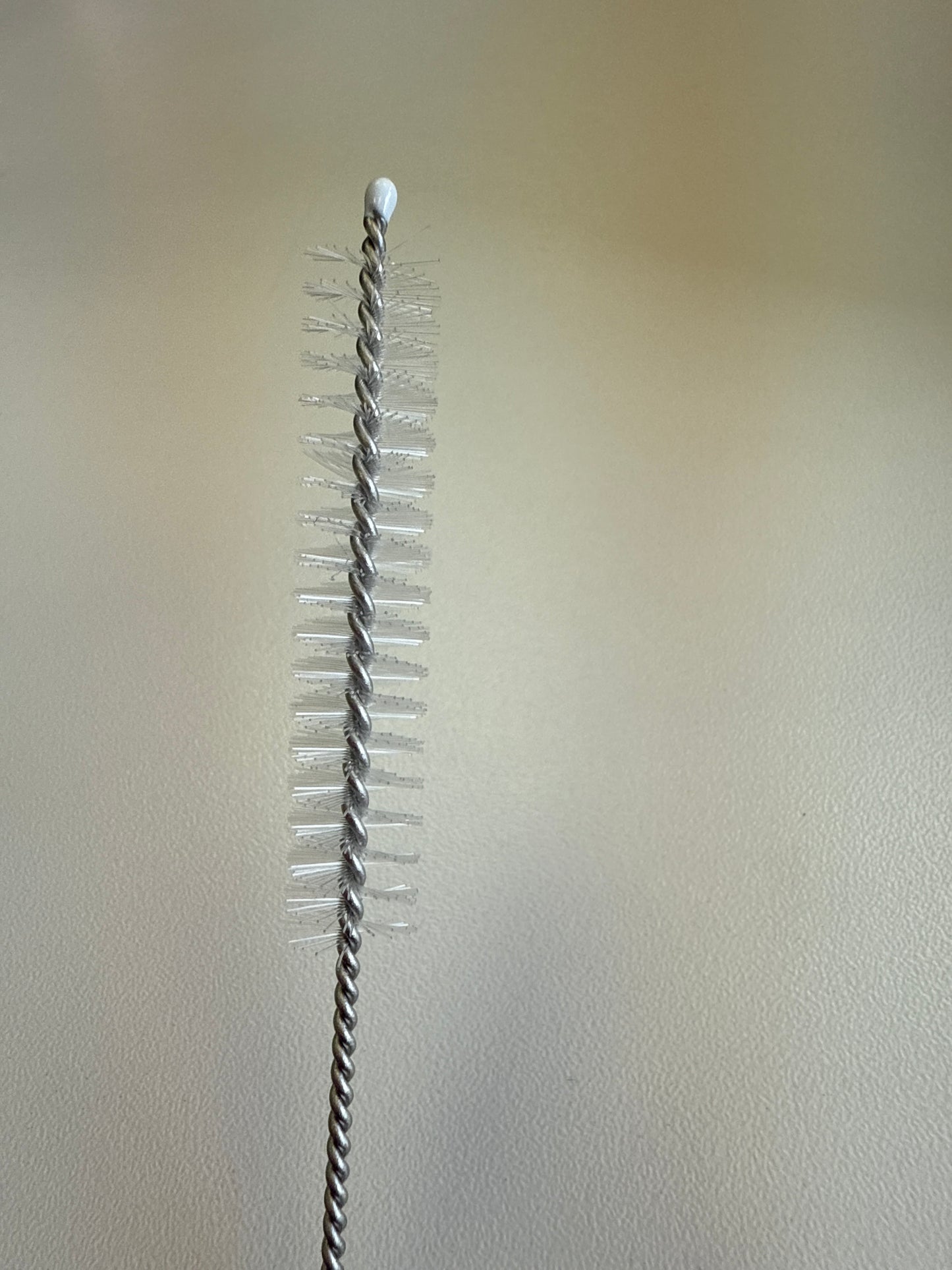 Straw Brush
