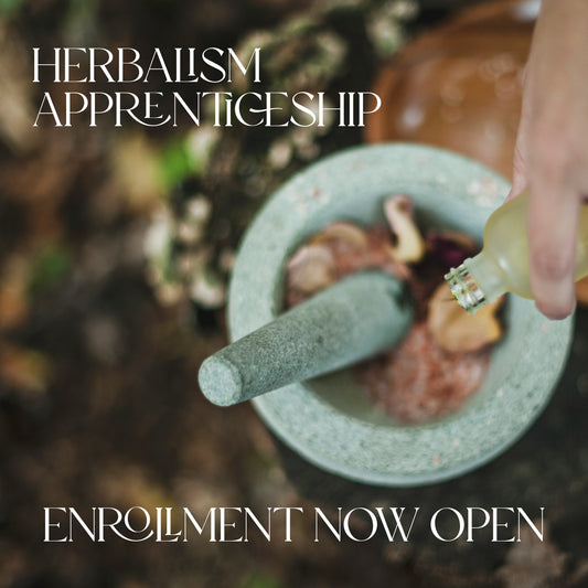 Herbalism Apprenticeship Deposit