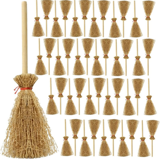Mini Broom
