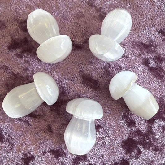 Selenite Mushroom