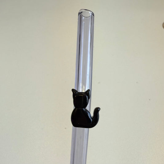 Glass Straw