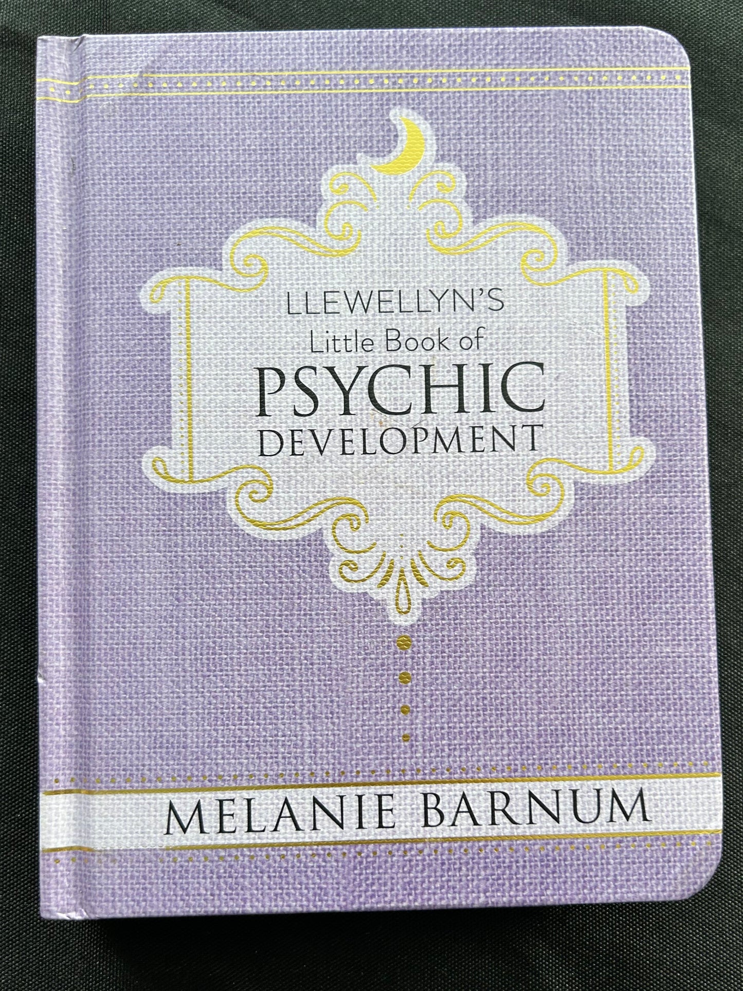 Little book of Psychic Development