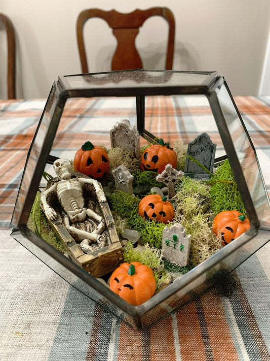 Terrorarium Workshop 10/17/25