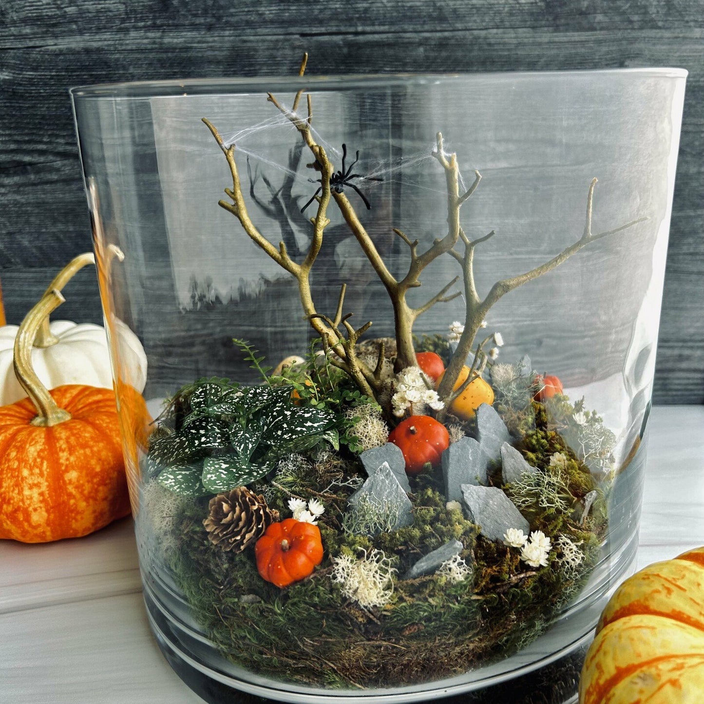 Autumn Terrarium Workshop 11/1/24