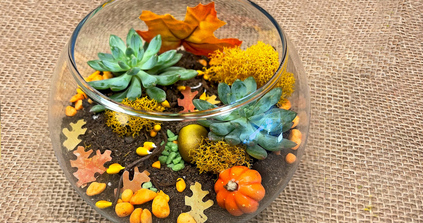 Autumn Terrarium Workshop 11/1/24