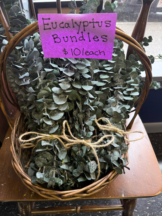 Eucalyptus Bundle