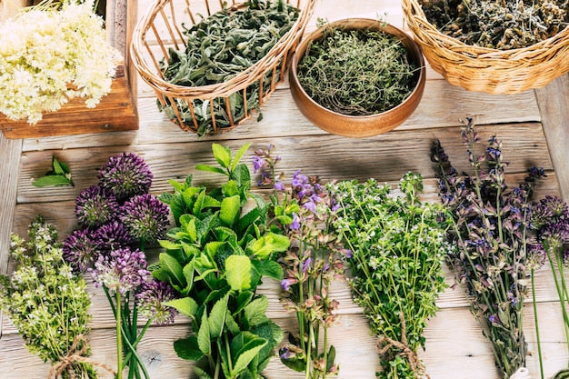 Herbalist Consultation