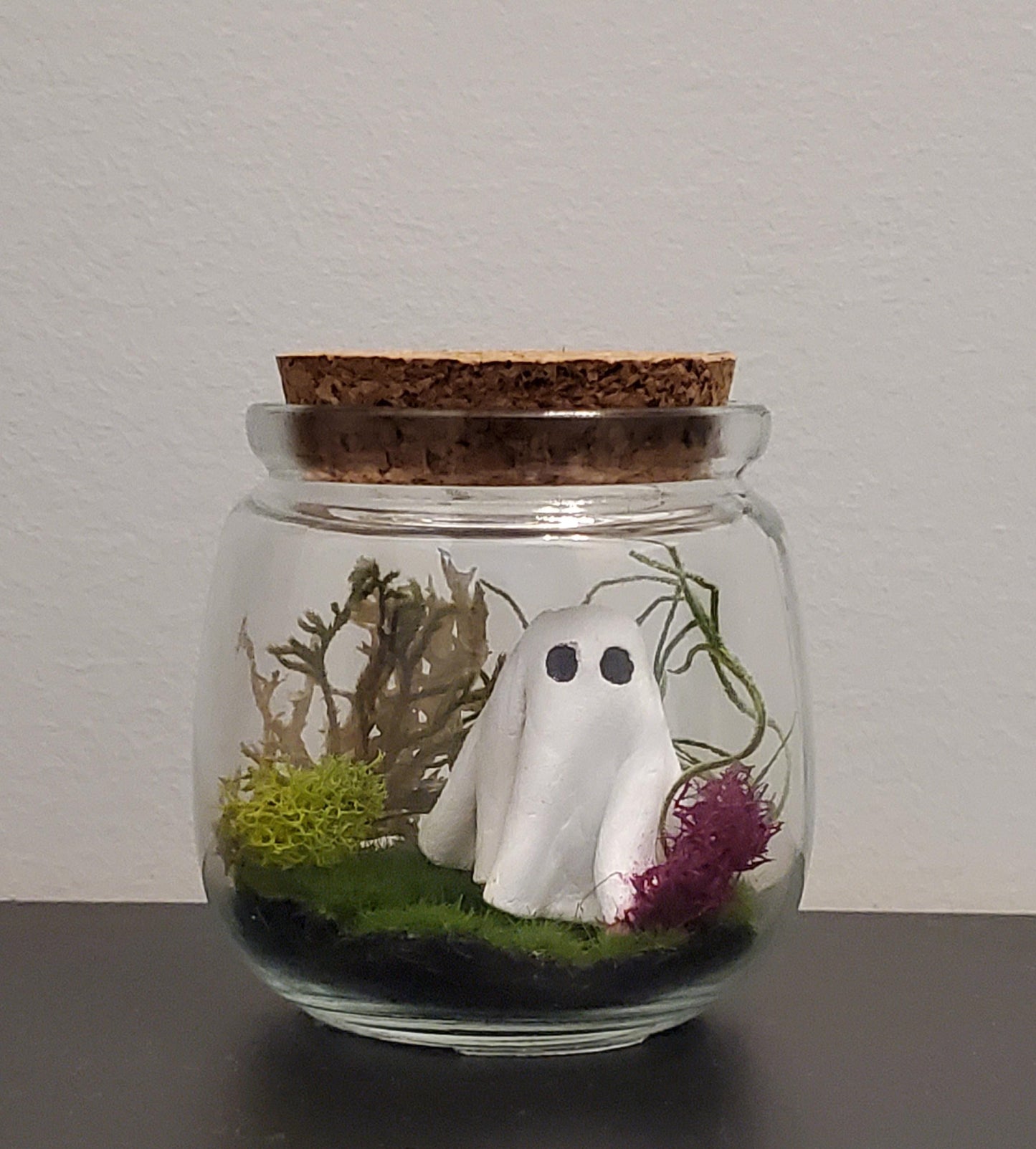 Terrorarium Workshop 10/17/25