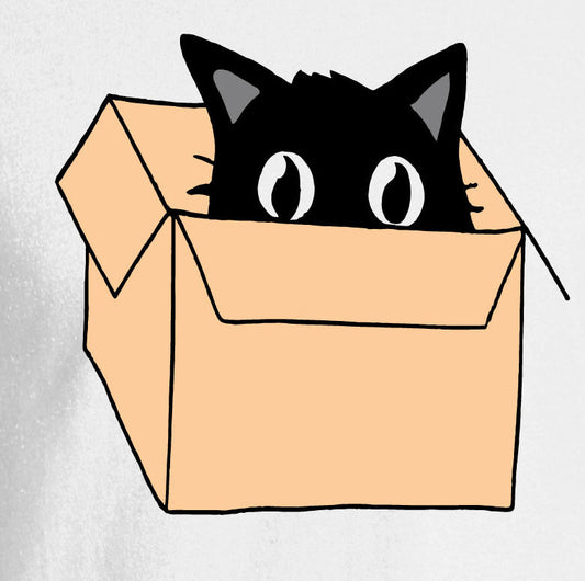 Cat in Box Tee