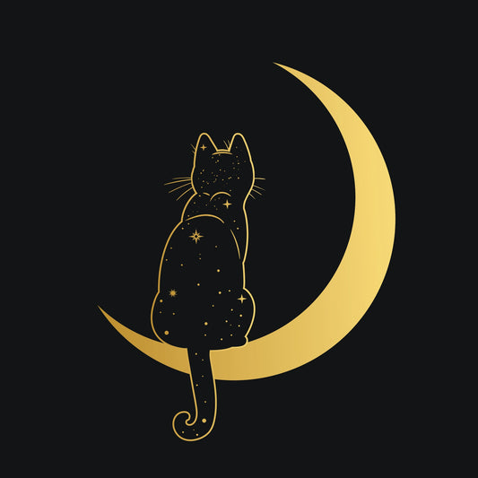 Cat and Moon Tee