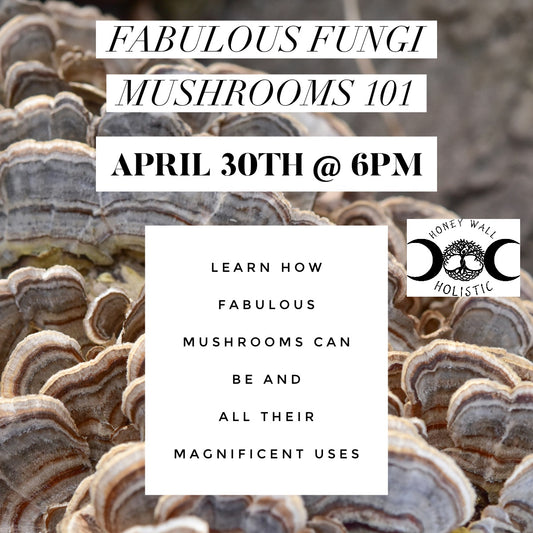 Fabulous Fungi Mushrooms 101