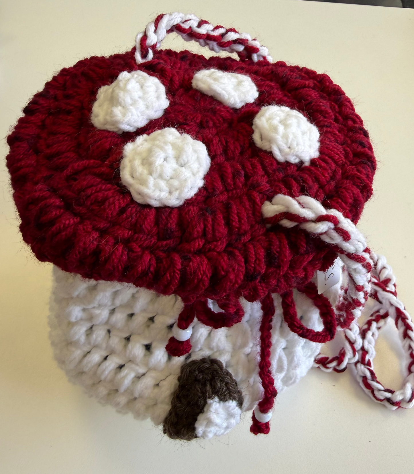Crocheted Mushroom House Bag