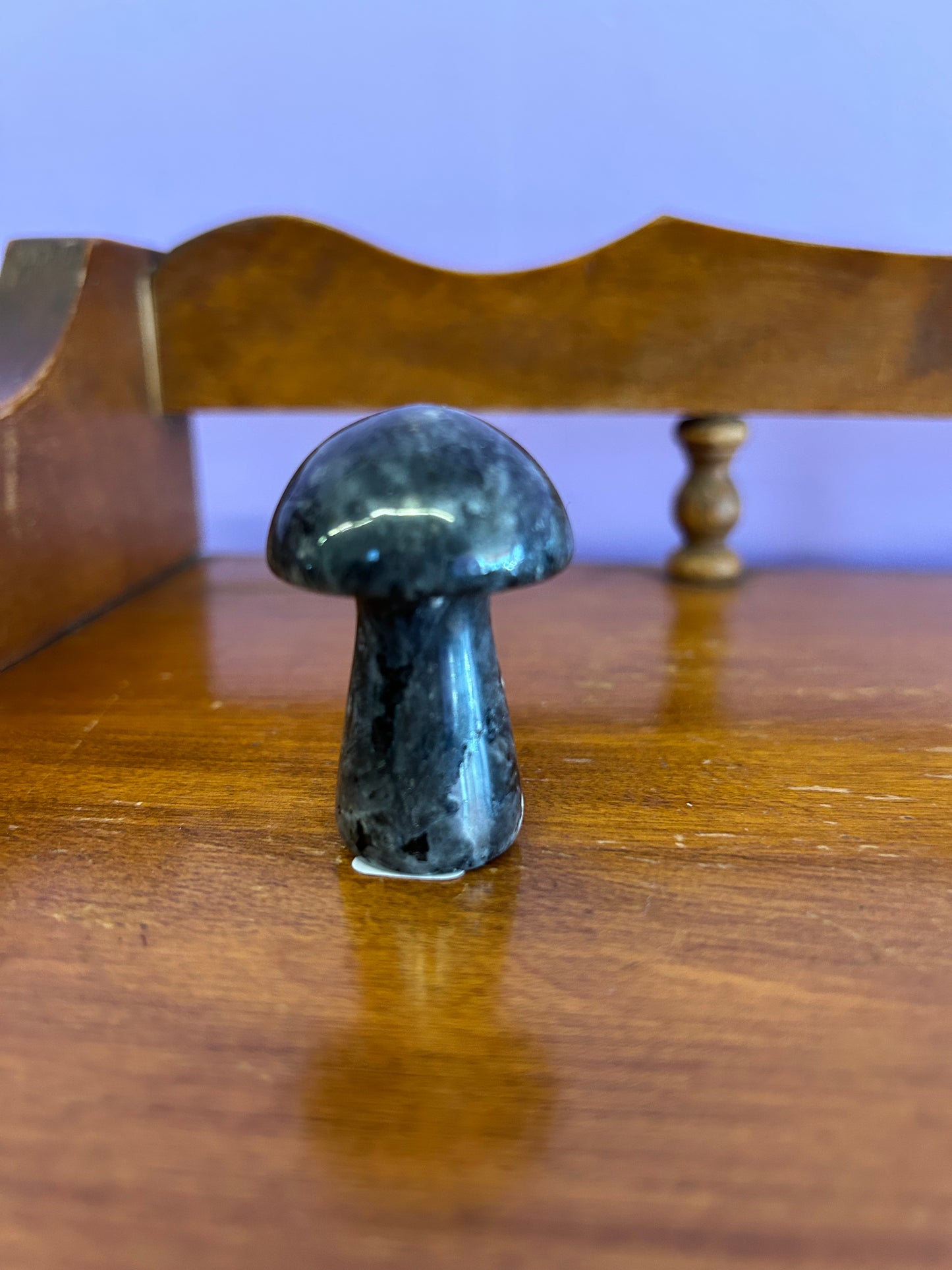 Labradorite Mushroom
