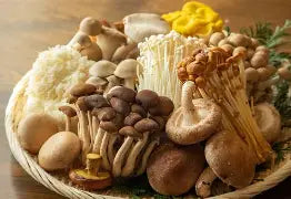 Fabulous Fungi Mushrooms 101